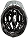 Giro Revel Helmet Matte White/Silver, One Size