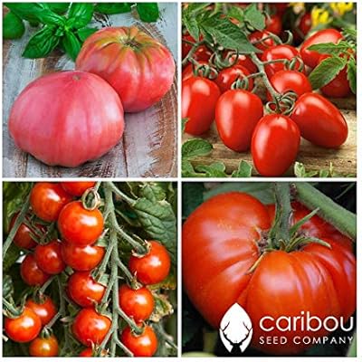 Save 30 Tasty Tomatoes By Caribou Seed Company Garden Seed