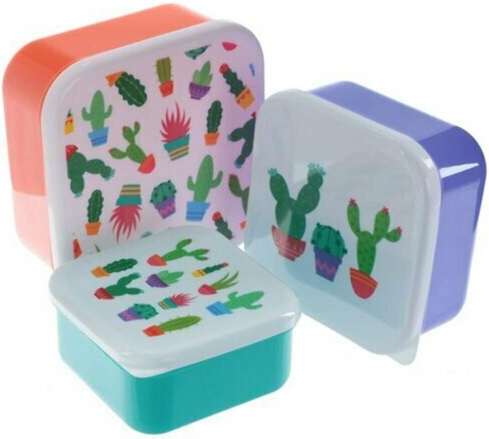 Puckator Cactus Set of 3 Food Containers, Orange/Green/Purple