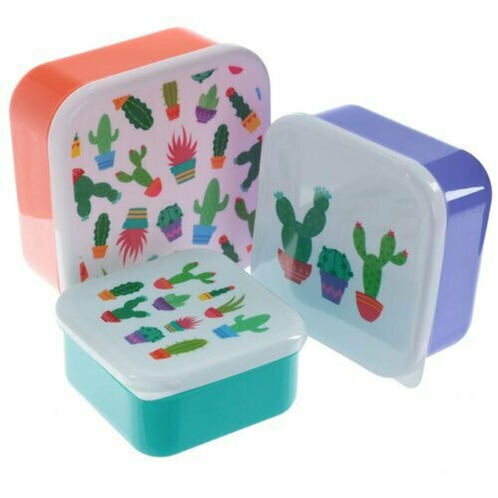 Puckator Cactus Set of 3 Food Containers, Orange/Green/Purple