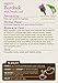 Traditional Medicinals Organic Burdock with Nettle Herbal Leaf Tea, 16 Tea Bags