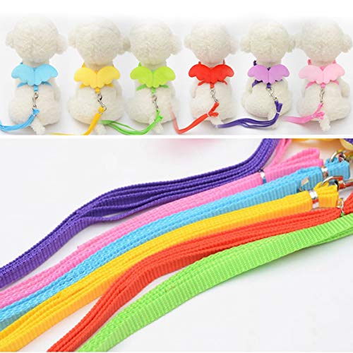 image for MqbY Dog Carrying Supplies Cute Angel Pet Dog Leashes and Collars Set 