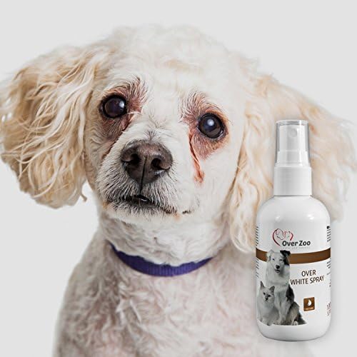 Over Zoo White Spray Spray Blanchissant Et Déjaunissant