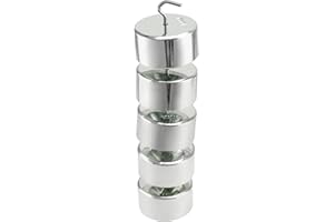 QWORK Double Hook Weight Set, 5 Pcs 100g (0.22lb) Chrome-Plated Hook Weight, for General Science and Physics Laboratory Work,