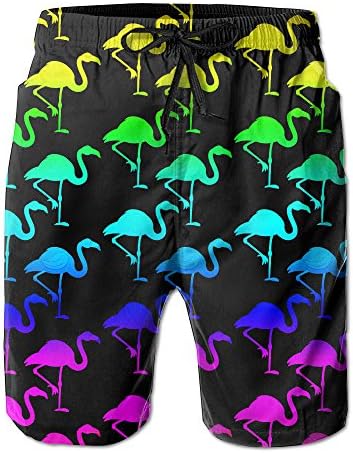 Surferio Men's Quick Dry Rainbow Flamingo Funny Flamingo Beach Shorts Swim Trunks Surf Board Shorts XL