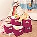 MaidMAX Storage Bins 12x12x12, for Home Organization and Storage, Toy Storage Cube, Closet Organizers and Storage, with Dual Plastic Handles, Fuchsia, Set of 6