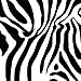 Duck Brand 280110 Printed Duct Tape, Zig-Zag Zebra, 1.88 Inches x 10 Yards, Single Roll