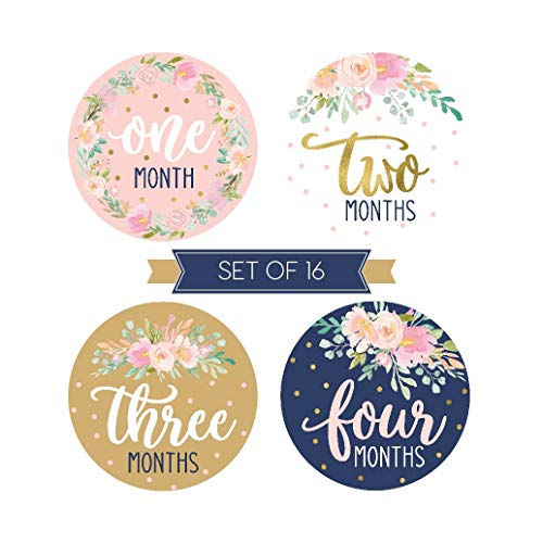 2 Milestone+Stickers+Monthly+Scrapbook+Registry