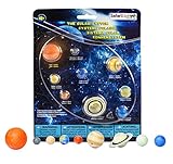 Safari Ltd  Safariology The Solar System