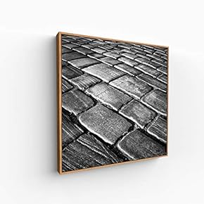 Canvas Wall Art for Living Room, Bedroom Silence Framed Canvas Prints for Home Decoration Ready to Hang - 16x16 inches