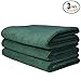 The Rag Company - Sport & Workout Towel - Gym, Exercise, Fitness, Spa, Ultra Soft, Super Absorbent, Fast Drying Premium Microfiber, 320gsm, 16in x 27in, Dark Green (3-Pack)