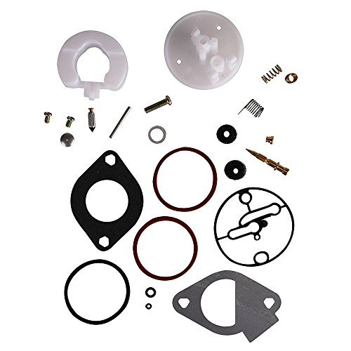 HUZTL Carburetor Rebuild Kit for Briggs & Stratton 796184 Master Overhaul Nikki Carbs Replaces 698787 790032 699900 699521 792369 Lawn Mower