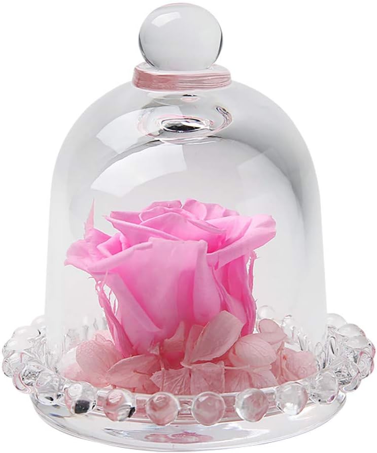 Gaddrt Preserved Roses Flower in Glass Romantic Valentine'S Day Birthday Gift For Lovers, Mother, Girlfriend Endless Never Withered Wedding Party Home Hotel Decor (Pink)