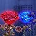 Solar Rose Lights Holiday Outdoor Decoration Color Changing Rose Flower Pathway Garden Stakes for Christmas Thanksgiving Patio Lawn Yard Path Decor by SolarDuke (2 Pack)