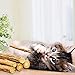 Cat Catnip Toys, Zuoao Catnip Sticks Natural Silver Vine Cat Chew Toy 6-pieces in Pack