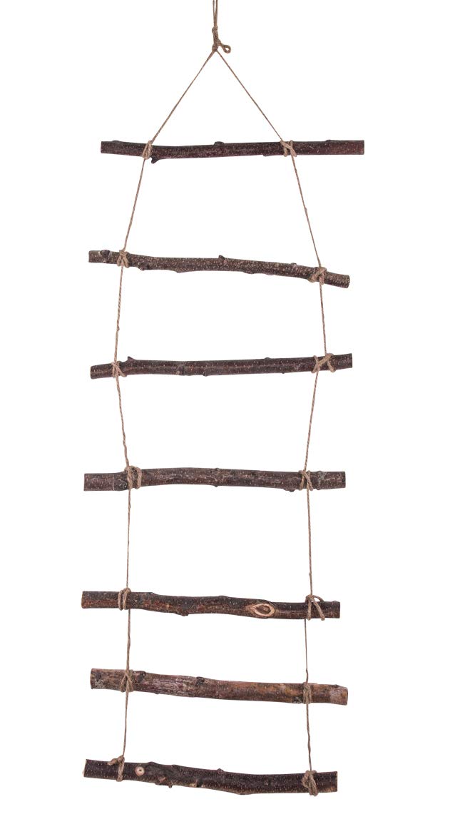 Rayher Decorative Tree Branch Ladder, Natural Wall Hanging Rope Ladder, Natural Birch Branches, 96x30x2cm, 65282505