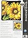 Dimensions Needlepoint Kit, Dramatic Sunflower, 14'' x 14''