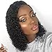 Sunstarr 13x4 150% Density Brazilian Short Curly Bob Wigs Lace Front Human Hair with Baby Hair Pre-Plucked Wig For Black Women(10, Lace front)