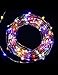 imimon Multi-Colored Light, warm String Lights for Bedroom, Patio, Party, Wedding, Christmas Decorative, led lights with 8 mode 60 LED twinkle lights Waterproof 20ft Wire .