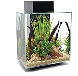 Fluval Edge Aquarium Kit, 12 Gallons, Black