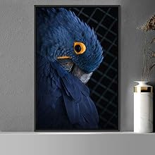 signwin Framed Canvas Wall Art Single Bird Birds Expressive Farmhouse/Country Multicolor Photography Portrait Single - 16x24 inches