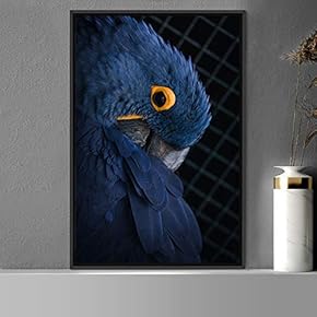 signwin Framed Canvas Wall Art Single Bird Birds...