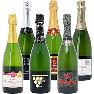 本格シャンパン製法の極上の泡6本セット((W0GX79SE))(750mlx6本ワインセット)