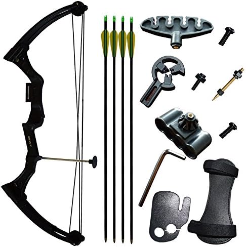 Compound Bow Kit For Children At Age 8~12 Archery Youth Bow Right Handed 15~20lbs Draw Weight