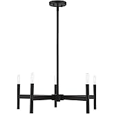 Livex Lighting 51175-04 Copenhagen Collection 5-Light Chandelier, Black