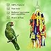 RYPET Large and Small Parrot Chewing Toys – Parrot Cage Bite Toys Wooden Block Tearing Toys for Conures Cockatiels African Grey and Other Amazon Parrotsthumb 2