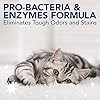 Simple-Solution-Cat-Stain-and-Odour-Remover-Enzymatic-Cleaner-with-Pro-Bacteria-Cleaning-Power-4-Litre Simple Solution Cat Stain and Odour Remover | Enzymatic Cleaner with Pro-Bacteria Cleaning Power - 4 Litres