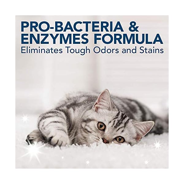 Simple-Solution-Cat-Stain-and-Odour-Remover-Enzymatic-Cleaner-with-Pro-Bacteria-Cleaning-Power-4-Litre Simple Solution Cat Stain and Odour Remover | Enzymatic Cleaner with Pro-Bacteria Cleaning Power - 4 Litres