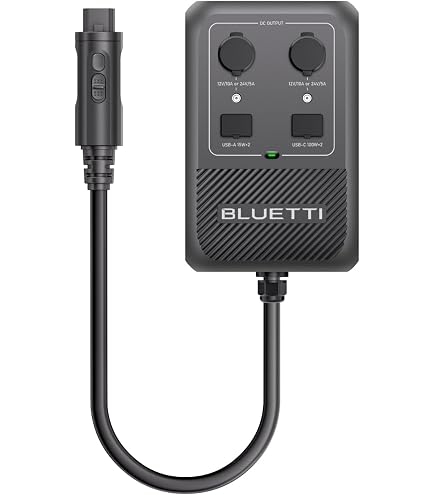 Amazon.com: BLUETTI D40 DC-DC Battery Charger for RV Batteries