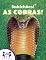 Livro Sabichões!® As Cobras