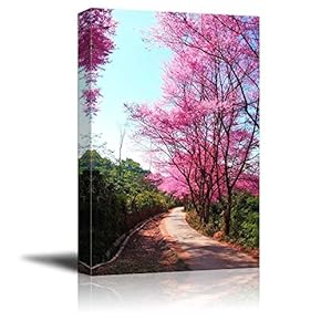 Canvas Prints Wall Art - Cherry Blossom Pathway in Chiangmai, Thailand | Modern Wall Decor/Home Decoration Stretched Gallery Canvas Wrap Giclee Print. Ready to Hang - 12" x 18"