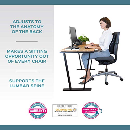 bonmedico Back Support Pillow Car Seat, Desk and Office Chair Cushion