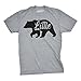 Toddler Little Bear Cute Gift for Children Adorable Funny Novelty Family T shirt (Grey) -5T