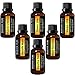 MAJESTIC PURE Essential Oil Blends - Made from Pure Aromatherapy Essential Oils - Sleep Lite, Health Max - Breathe Best, Stress Lite, Muscle Untense, Mind Harmony - for Diffuser use Also - 6/10 ml