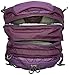 Osprey Packs 10000570 Nova Daypack, Mariposa Purple