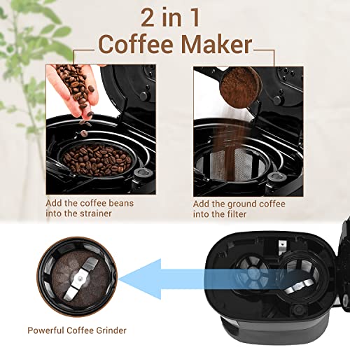 Nidouillet Drip Coffee Maker,Grind and Brew Automatic Coffee Machine,5 Cup Programmable Smart