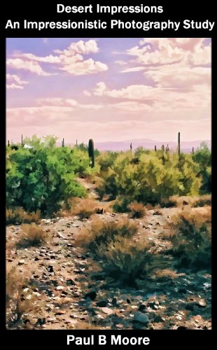 Desert Impressions - An Impressionistic Photography study (Art Book 9)