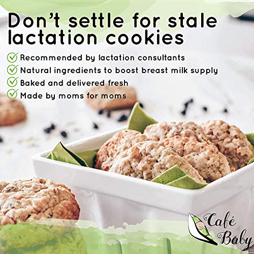 Café Baby Chocolate Chip Lactation Cookies for Breastfeeding Large
