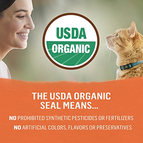 Beyond Purina High Protein Adult Dry Cat Food, Organic Chicken, Egg