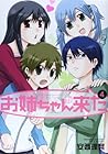 お姉ちゃんが来た 第4巻