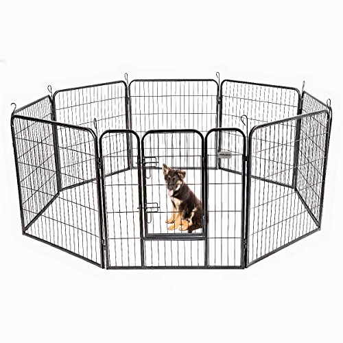 qd kennels