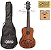 Luna Mahogany Concert Ukulele with Lizard Design, UKE MO MAH, Bag, FREE Aquila