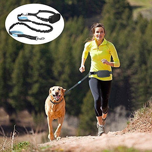 Pecute Hands Free Dog Leash Double Handle Leash with Zipper Pouch -Extendable Bungee with Reflective Stitching - Detachable Waist Belt up to 48” Waist - for Jogging, Running, Hiking (Black + Blue)