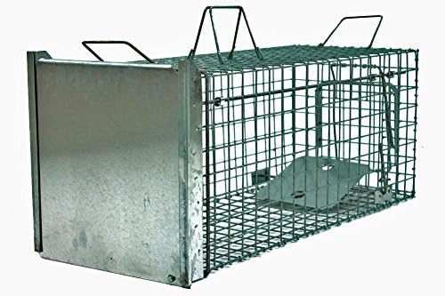 Zielonalapka Strong Humane Animal Trap Cage 1 door, Capture Martens, Cats, Otters, Beavers, Foxes and Dogs, Size: 31" (80x34x34 cm) With Extra Bait.