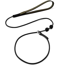 BeauGo Slip Leads for Dogs,Thin Slip Lead,Dog