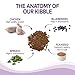 Wellness Natural Pet Food Complete Health Natural Dry Large Breed Puppy Food, Chicken, Salmon & Rice, 30-Pound Bag